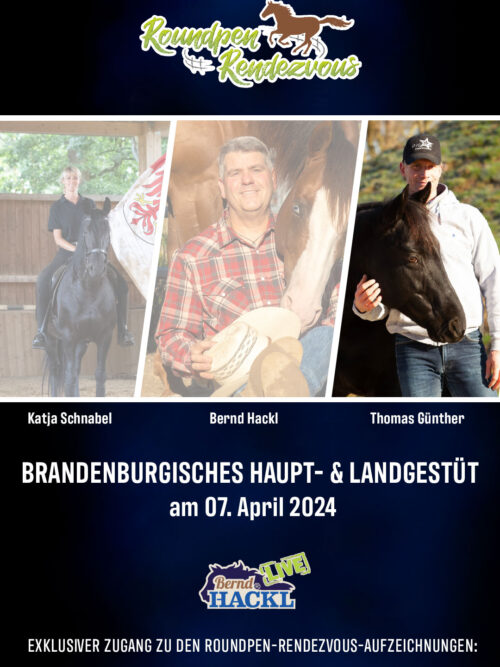 Roundpen Rendezvous Haupt- und Landesgestüt Neustadt (Dosse) 2024: Thomas Günther (Aufzeichnung/Online-Streaming)