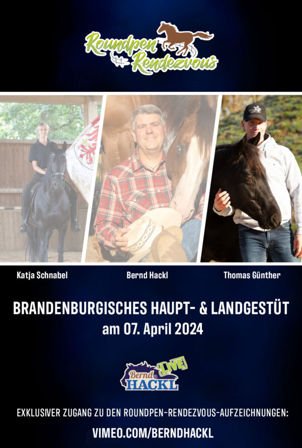 Roundpen Rendezvous Haupt- und Landesgestüt Neustadt (Dosse) 2024: Thomas Günther (Aufzeichnung/Online-Streaming)