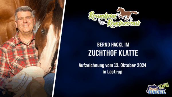 Roundpen Rendezvous Zuchthof Klatte Lastrup 2024: Bernd Hackl (Aufzeichnung/Online-Streaming) – Bild 2