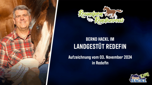 Roundpen Rendezvous Landesgestüt Redefin 2024: Bernd Hackl (Aufzeichnung/Online-Streaming) – Bild 2