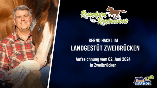 Roundpen Rendezvous Landesgestüt Zweibrücken 2024: Bernd Hackl (Aufzeichnung/Online-Streaming) – Bild 2