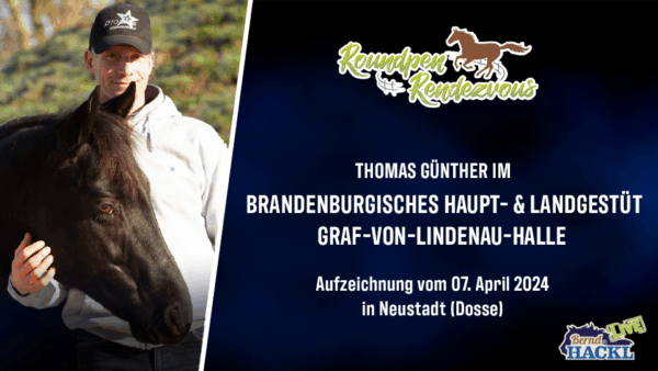 Roundpen Rendezvous Haupt- und Landesgestüt Neustadt (Dosse) 2024: Thomas Günther (Aufzeichnung/Online-Streaming) – Bild 2