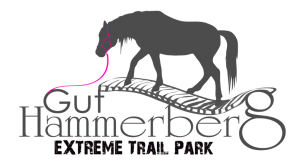 Logo_Extreme_Trail_Park_Gut_Hammerberg_grau mit schatten